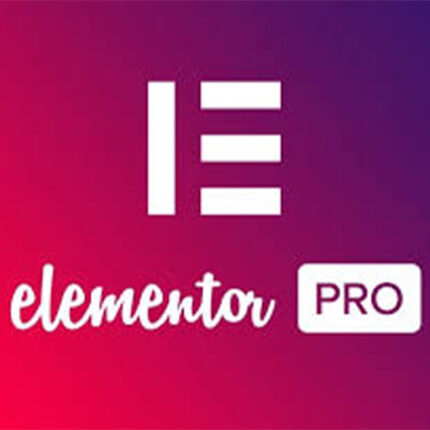 Elementor Pro